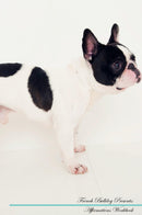 French Bulldog Affirmations Workbook French Bulldog Presents: Positive and Loving Affirmations Workbook. Includes: Mentoring Questions, Guidance, Supporting You.