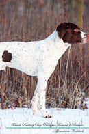 French Pointing Dog (Braques Français) Affirmations Workbook French Pointing Dog (Braques Français) Presents: Positive and Loving Affirmations Workbook. Includes: Mentoring Questions, Guidance, Supporting You.