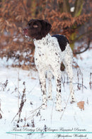 French Pointing Dog (Braques Français) Affirmations Workbook French Pointing Dog (Braques Français) Presents: Positive and Loving Affirmations Workbook. Includes: Mentoring Questions, Guidance, Supporting You.