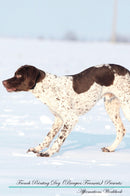 French Pointing Dog (Braques Français) Affirmations Workbook French Pointing Dog (Braques Français) Presents: Positive and Loving Affirmations Workbook. Includes: Mentoring Questions, Guidance, Supporting You.