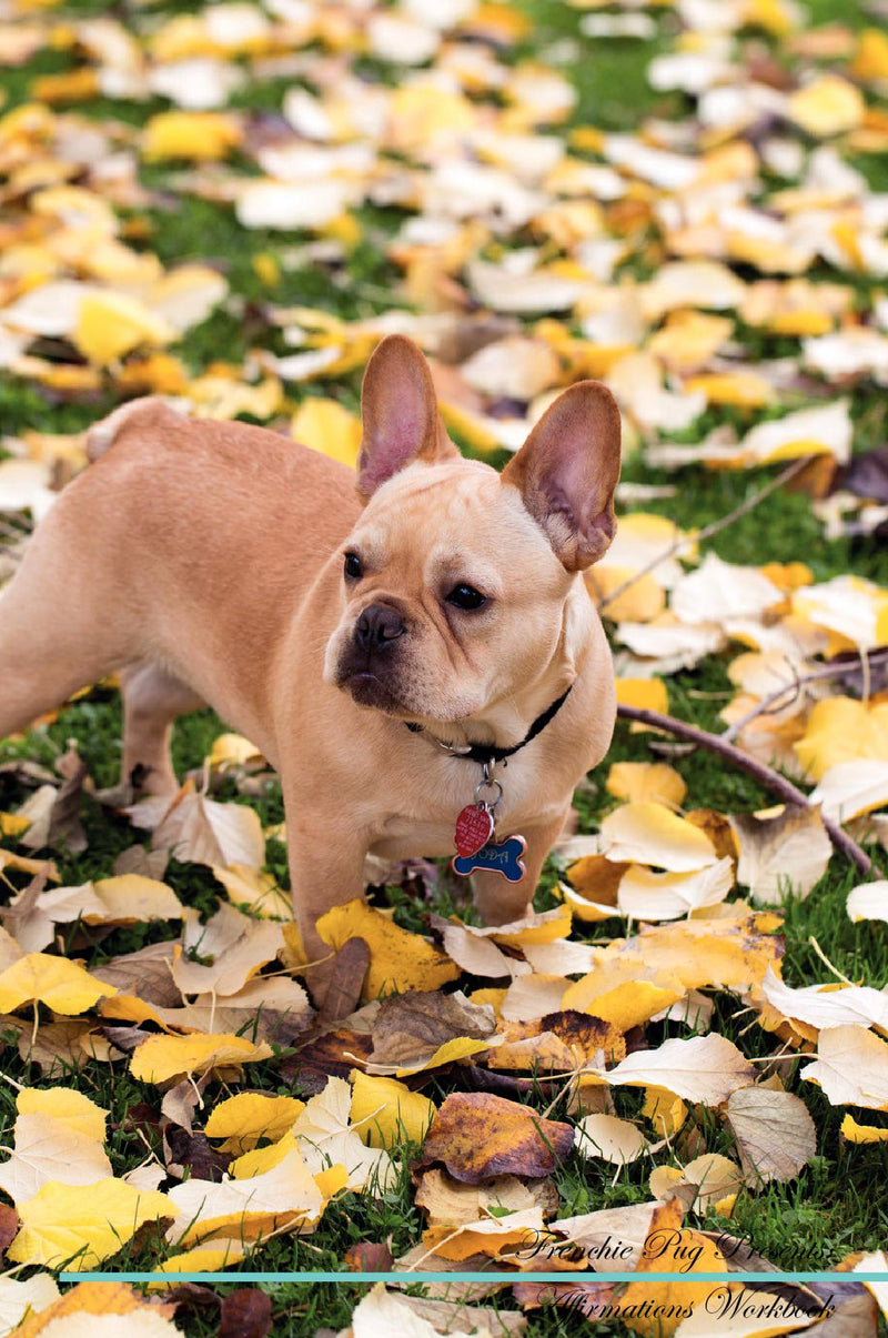 Frenchie Pug Affirmations Workbook Frenchie Pug Presents: Positive and Loving Affirmations Workbook. Includes: Mentoring Questions, Guidance, Supporting You.