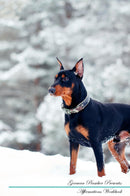 German Pinscher Affirmations Workbook German Pinscher Presents: Positive and Loving Affirmations Workbook. Includes: Mentoring Questions, Guidance, Supporting You.