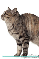 Kurilian Bobtail Affirmations Workbook Kurilian Bobtail Presents: Positive and Loving Affirmations Workbook. Includes: Mentoring Questions, Guidance, Supporting You.