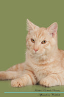 Kurilian Bobtail Affirmations Workbook Kurilian Bobtail Presents: Positive and Loving Affirmations Workbook. Includes: Mentoring Questions, Guidance, Supporting You.