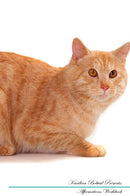 Kurilian Bobtail Affirmations Workbook Kurilian Bobtail Presents: Positive and Loving Affirmations Workbook. Includes: Mentoring Questions, Guidance, Supporting You.