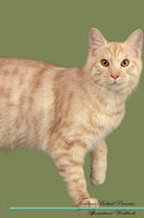 Kurilian Bobtail Affirmations Workbook Kurilian Bobtail Presents: Positive and Loving Affirmations Workbook. Includes: Mentoring Questions, Guidance, Supporting You.