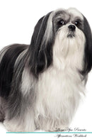 Lhasa Apso Affirmations Workbook Lhasa Apso Presents: Positive and Loving Affirmations Workbook. Includes: Mentoring Questions, Guidance, Supporting You.