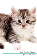 Maine Coon Cat Affirmations Workbook Maine Coon Cat Presents: Positive and Loving Affirmations Workbook. Includes: Mentoring Questions, Guidance, Supporting You.