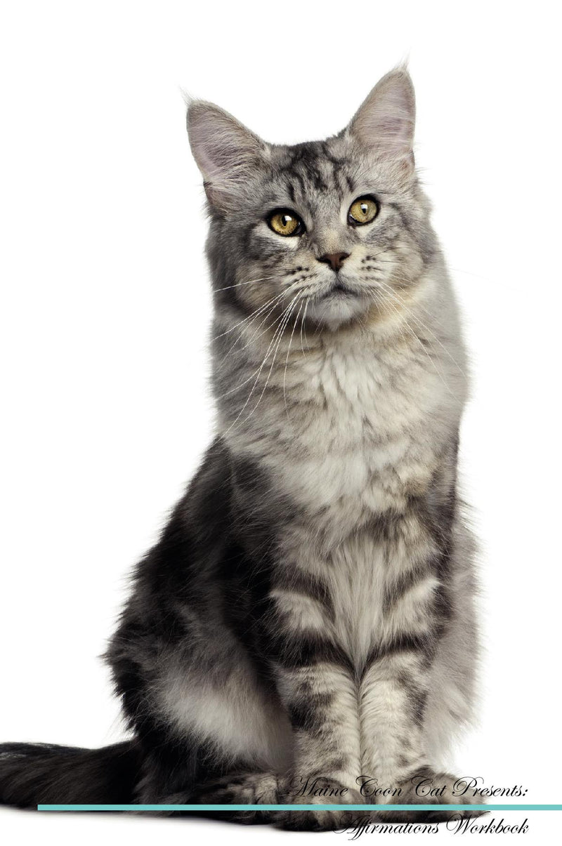 Maine Coon Cat Affirmations Workbook Maine Coon Cat Presents: Positive and Loving Affirmations Workbook. Includes: Mentoring Questions, Guidance, Supporting You.