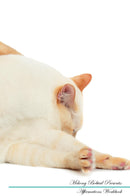 Mekong Bobtail Affirmations Workbook Mekong Bobtail Presents: Positive and Loving Affirmations Workbook. Includes: Mentoring Questions, Guidance, Supporting You.