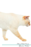 Mekong Bobtail Affirmations Workbook Mekong Bobtail Presents: Positive and Loving Affirmations Workbook. Includes: Mentoring Questions, Guidance, Supporting You.