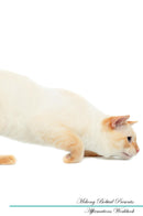 Mekong Bobtail Affirmations Workbook Mekong Bobtail Presents: Positive and Loving Affirmations Workbook. Includes: Mentoring Questions, Guidance, Supporting You.