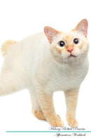 Mekong Bobtail Affirmations Workbook Mekong Bobtail Presents: Positive and Loving Affirmations Workbook. Includes: Mentoring Questions, Guidance, Supporting You.