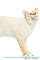 Mekong Bobtail Affirmations Workbook Mekong Bobtail Presents: Positive and Loving Affirmations Workbook. Includes: Mentoring Questions, Guidance, Supporting You.