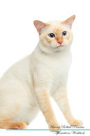 Mekong Bobtail Affirmations Workbook Mekong Bobtail Presents: Positive and Loving Affirmations Workbook. Includes: Mentoring Questions, Guidance, Supporting You.