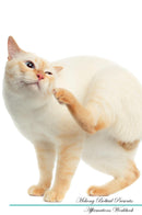 Mekong Bobtail Affirmations Workbook Mekong Bobtail Presents: Positive and Loving Affirmations Workbook. Includes: Mentoring Questions, Guidance, Supporting You.