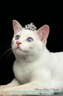 Mekong Bobtail Affirmations Workbook Mekong Bobtail Presents: Positive and Loving Affirmations Workbook. Includes: Mentoring Questions, Guidance, Supporting You.