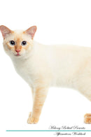 Mekong Bobtail Affirmations Workbook Mekong Bobtail Presents: Positive and Loving Affirmations Workbook. Includes: Mentoring Questions, Guidance, Supporting You.