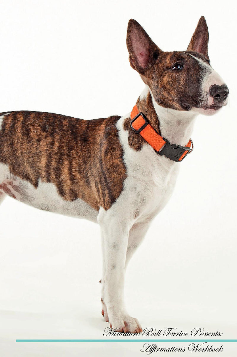 Miniature Bull Terrier Affirmations Workbook Miniature Bull Terrier Presents: Positive and Loving Affirmations Workbook. Includes: Mentoring Questions, Guidance, Supporting You.