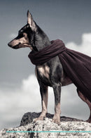 Miniature Pinscher Affirmations Workbook Miniature Pinscher Presents: Positive and Loving Affirmations Workbook. Includes: Mentoring Questions, Guidance, Supporting You.