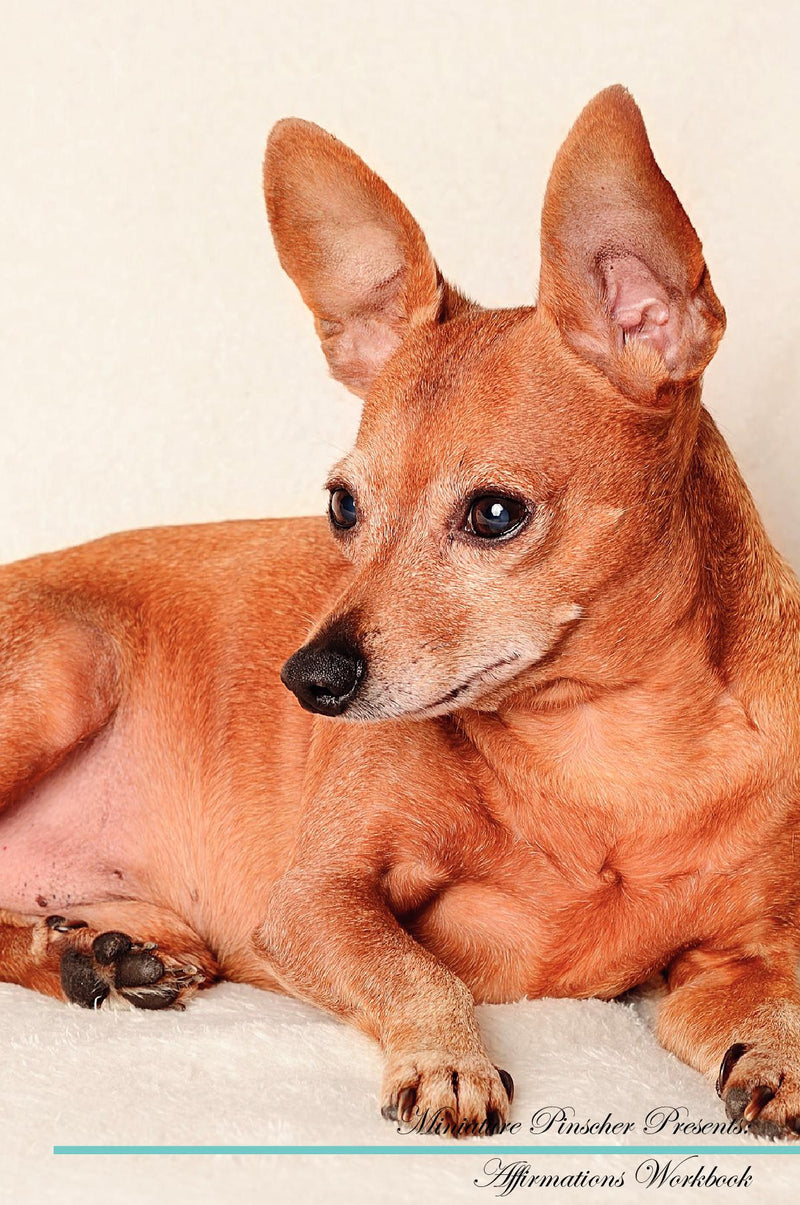 Miniature Pinscher Affirmations Workbook Miniature Pinscher Presents: Positive and Loving Affirmations Workbook. Includes: Mentoring Questions, Guidance, Supporting You.