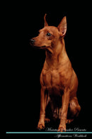 Miniature Pinscher Affirmations Workbook Miniature Pinscher Presents: Positive and Loving Affirmations Workbook. Includes: Mentoring Questions, Guidance, Supporting You.