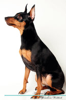 Miniature Pinscher Affirmations Workbook Miniature Pinscher Presents: Positive and Loving Affirmations Workbook. Includes: Mentoring Questions, Guidance, Supporting You.
