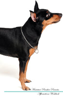 Miniature Pinscher Affirmations Workbook Miniature Pinscher Presents: Positive and Loving Affirmations Workbook. Includes: Mentoring Questions, Guidance, Supporting You.