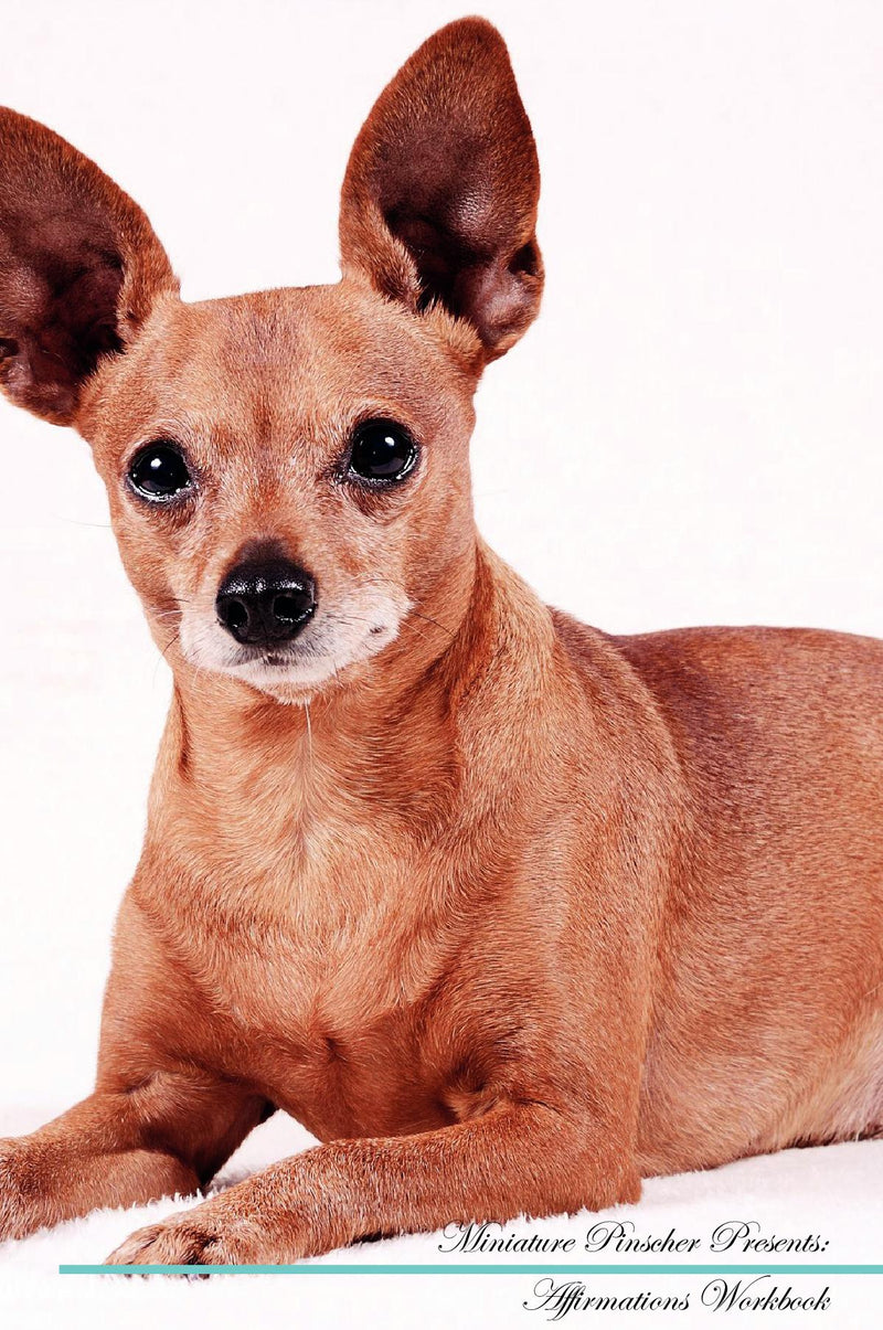 Miniature Pinscher Affirmations Workbook Miniature Pinscher Presents: Positive and Loving Affirmations Workbook. Includes: Mentoring Questions, Guidance, Supporting You.