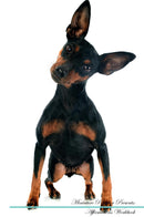 Miniature Pinscher Affirmations Workbook Miniature Pinscher Presents: Positive and Loving Affirmations Workbook. Includes: Mentoring Questions, Guidance, Supporting You.