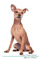 Miniature Pinscher Affirmations Workbook Miniature Pinscher Presents: Positive and Loving Affirmations Workbook. Includes: Mentoring Questions, Guidance, Supporting You.