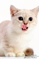 Munchkin Cat Affirmations Workbook Munchkin Cat Presents: Positive and Loving Affirmations Workbook. Includes: Mentoring Questions, Guidance, Supporting You.