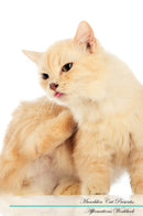 Munchkin Cat Affirmations Workbook Munchkin Cat Presents: Positive and Loving Affirmations Workbook. Includes: Mentoring Questions, Guidance, Supporting You.