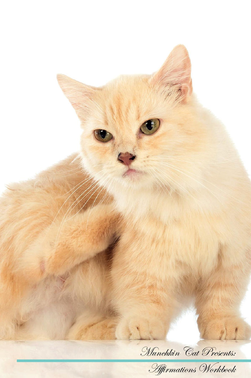 Munchkin Cat Affirmations Workbook Munchkin Cat Presents: Positive and Loving Affirmations Workbook. Includes: Mentoring Questions, Guidance, Supporting You.