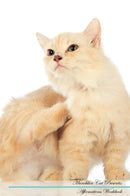 Munchkin Cat Affirmations Workbook Munchkin Cat Presents: Positive and Loving Affirmations Workbook. Includes: Mentoring Questions, Guidance, Supporting You.