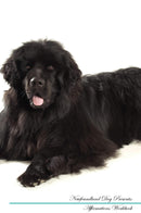 Newfoundland Dog Affirmations Workbook Newfoundland Dog Presents: Positive and Loving Affirmations Workbook. Includes: Mentoring Questions, Guidance, Supporting You.