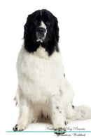 Newfoundland Dog Affirmations Workbook Newfoundland Dog Presents: Positive and Loving Affirmations Workbook. Includes: Mentoring Questions, Guidance, Supporting You.