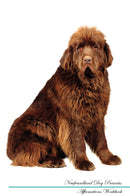 Newfoundland Dog Affirmations Workbook Newfoundland Dog Presents: Positive and Loving Affirmations Workbook. Includes: Mentoring Questions, Guidance, Supporting You.