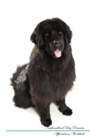 Newfoundland Dog Affirmations Workbook Newfoundland Dog Presents: Positive and Loving Affirmations Workbook. Includes: Mentoring Questions, Guidance, Supporting You.