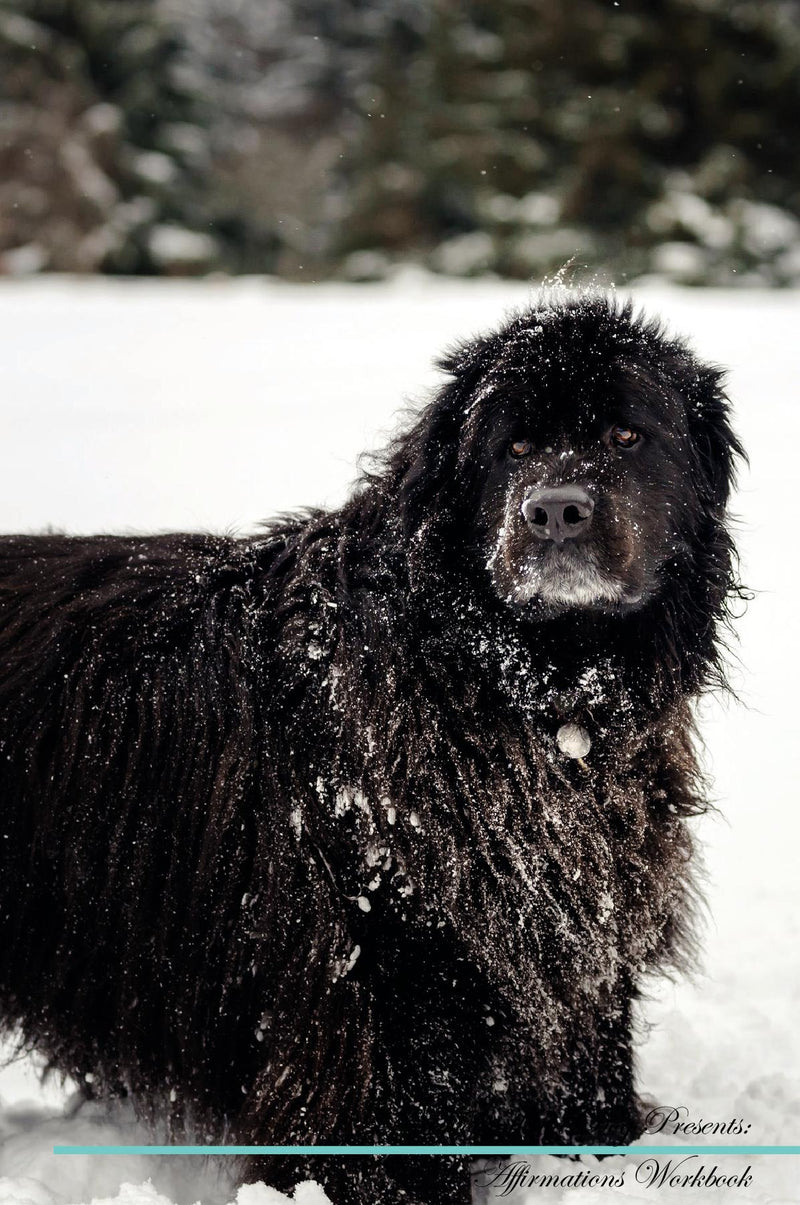Newfoundland Dog Affirmations Workbook Newfoundland Dog Presents: Positive and Loving Affirmations Workbook. Includes: Mentoring Questions, Guidance, Supporting You.