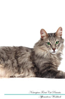Norwegian Forest Cat Affirmations Workbook Norwegian Forest Cat Presents: Positive and Loving Affirmations Workbook. Includes: Mentoring Questions, Guidance, Supporting You.