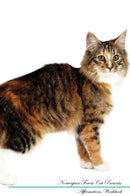 Norwegian Forest Cat Affirmations Workbook Norwegian Forest Cat Presents: Positive and Loving Affirmations Workbook. Includes: Mentoring Questions, Guidance, Supporting You.