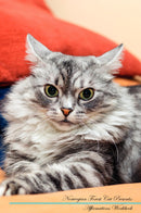 Norwegian Forest Cat Affirmations Workbook Norwegian Forest Cat Presents: Positive and Loving Affirmations Workbook. Includes: Mentoring Questions, Guidance, Supporting You.