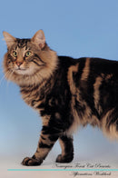 Norwegian Forest Cat Affirmations Workbook Norwegian Forest Cat Presents: Positive and Loving Affirmations Workbook. Includes: Mentoring Questions, Guidance, Supporting You.