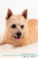 Norwich Terrier Affirmations Workbook Norwich Terrier Presents: Positive and Loving Affirmations Workbook. Includes: Mentoring Questions, Guidance, Supporting You.