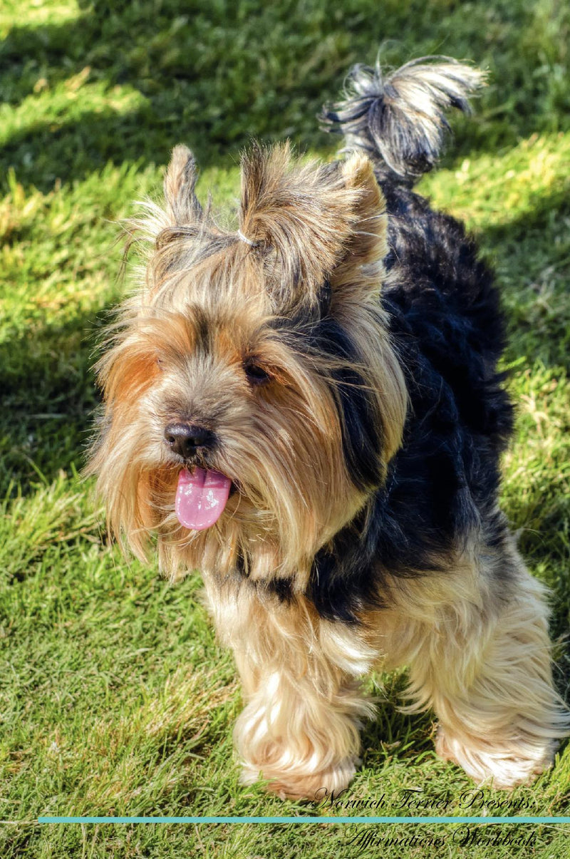 Norwich Terrier Affirmations Workbook Norwich Terrier Presents: Positive and Loving Affirmations Workbook. Includes: Mentoring Questions, Guidance, Supporting You.