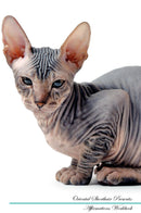 Oriental Shorthair Affirmations Workbook Oriental Shorthair Presents: Positive and Loving Affirmations Workbook. Includes: Mentoring Questions, Guidance, Supporting You.