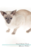 Oriental Shorthair Affirmations Workbook Oriental Shorthair Presents: Positive and Loving Affirmations Workbook. Includes: Mentoring Questions, Guidance, Supporting You.