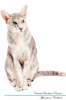 Oriental Shorthair Affirmations Workbook Oriental Shorthair Presents: Positive and Loving Affirmations Workbook. Includes: Mentoring Questions, Guidance, Supporting You.