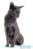Oriental Shorthair Affirmations Workbook Oriental Shorthair Presents: Positive and Loving Affirmations Workbook. Includes: Mentoring Questions, Guidance, Supporting You.